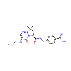 CCCNc1cnc2n(c1=O)[C@H](C(=O)NCc1ccc(C(=N)N)cc1)CC2(C)C ZINC000095587093