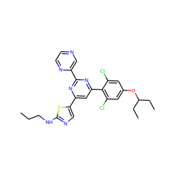 CCCNc1ncc(-c2cc(-c3c(Cl)cc(OC(CC)CC)cc3Cl)nc(-c3cnccn3)n2)s1 ZINC000084690801