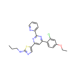 CCCNc1ncc(-c2cc(-c3ccc(OCC)cc3Cl)nc(-c3ccccn3)n2)s1 ZINC000064528146