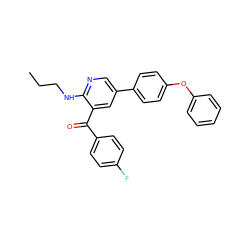 CCCNc1ncc(-c2ccc(Oc3ccccc3)cc2)cc1C(=O)c1ccc(F)cc1 ZINC000096285661