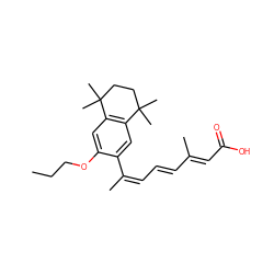 CCCOc1cc2c(cc1/C(C)=C\C=C\C(C)=C\C(=O)O)C(C)(C)CCC2(C)C ZINC000001892655