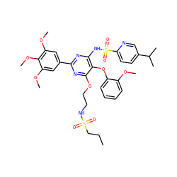 CCCS(=O)(=O)NCCOc1nc(-c2cc(OC)c(OC)c(OC)c2)nc(NS(=O)(=O)c2ccc(C(C)C)cn2)c1Oc1ccccc1OC ZINC000003934529