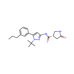 CCCc1cccc(-c2cc(NC(=O)[C@@H]3CNC(=O)C3)nn2C(C)(C)C)c1 ZINC000169706983