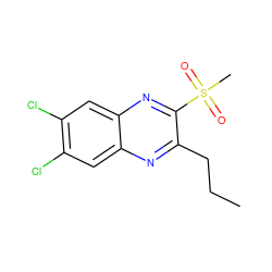 CCCc1nc2cc(Cl)c(Cl)cc2nc1S(C)(=O)=O ZINC000028950983