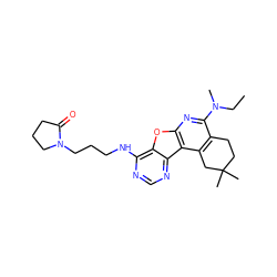 CCN(C)c1nc2oc3c(NCCCN4CCCC4=O)ncnc3c2c2c1CCC(C)(C)C2 ZINC000072118756