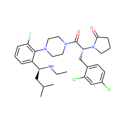 CCN[C@@H](CC(C)C)c1cccc(F)c1N1CCN(C(=O)[C@@H](Cc2ccc(Cl)cc2Cl)N2CCCC2=O)CC1 ZINC000028823893