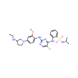 CCN[C@@H]1CCN(c2ccc(Nc3ncc(Cl)c(Nc4ccccc4S(=O)(=O)NC(C)C)n3)c(OC)c2)C1 ZINC000049695398