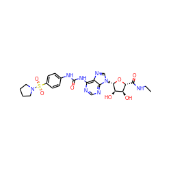 CCNC(=O)[C@H]1O[C@@H](n2cnc3c(NC(=O)Nc4ccc(S(=O)(=O)N5CCCC5)cc4)ncnc32)[C@H](O)[C@@H]1O ZINC000049792662