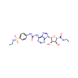 CCNC(=O)[C@H]1O[C@@H](n2cnc3c(NC(=O)Nc4ccc(S(=O)(=O)NCC)cc4)ncnc32)[C@H](O)[C@@H]1O ZINC000049771722