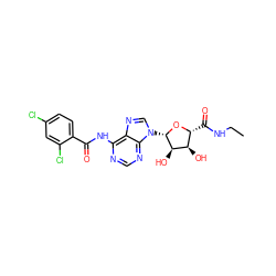 CCNC(=O)[C@H]1O[C@@H](n2cnc3c(NC(=O)c4ccc(Cl)cc4Cl)ncnc32)[C@H](O)[C@@H]1O ZINC000049018001