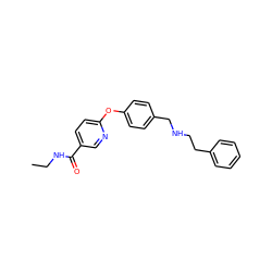 CCNC(=O)c1ccc(Oc2ccc(CNCCc3ccccc3)cc2)nc1 ZINC000028826391