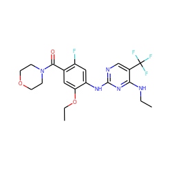 CCNc1nc(Nc2cc(F)c(C(=O)N3CCOCC3)cc2OCC)ncc1C(F)(F)F ZINC000169705200