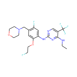 CCNc1nc(Nc2cc(F)c(CN3CCOCC3)cc2OCCF)ncc1C(F)(F)F ZINC000205928629