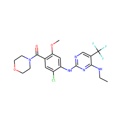 CCNc1nc(Nc2cc(OC)c(C(=O)N3CCOCC3)cc2Cl)ncc1C(F)(F)F ZINC000095574456