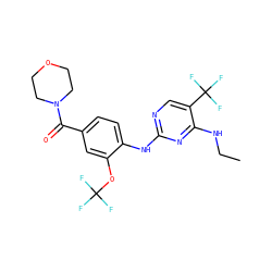 CCNc1nc(Nc2ccc(C(=O)N3CCOCC3)cc2OC(F)(F)F)ncc1C(F)(F)F ZINC000169705141