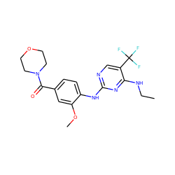 CCNc1nc(Nc2ccc(C(=O)N3CCOCC3)cc2OC)ncc1C(F)(F)F ZINC000169705152