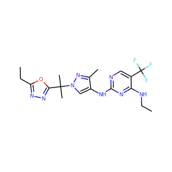 CCNc1nc(Nc2cn(C(C)(C)c3nnc(CC)o3)nc2C)ncc1C(F)(F)F ZINC000205714429