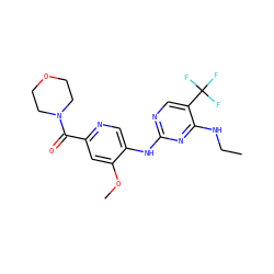 CCNc1nc(Nc2cnc(C(=O)N3CCOCC3)cc2OC)ncc1C(F)(F)F ZINC000095571663