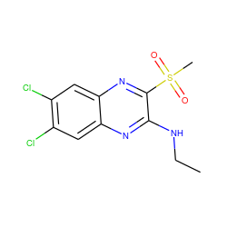 CCNc1nc2cc(Cl)c(Cl)cc2nc1S(C)(=O)=O ZINC000028951003