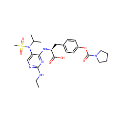 CCNc1ncc(N(C(C)C)S(C)(=O)=O)c(N[C@@H](Cc2ccc(OC(=O)N3CCCC3)cc2)C(=O)O)n1 ZINC000096273512