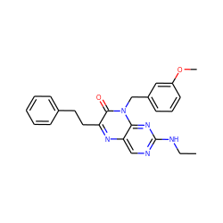 CCNc1ncc2nc(CCc3ccccc3)c(=O)n(Cc3cccc(OC)c3)c2n1 ZINC000004238682