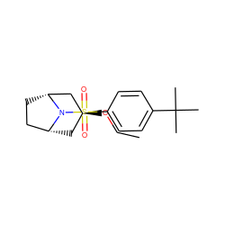 CCO[C@H]1C[C@@H]2CC[C@H](C1)N2S(=O)(=O)c1ccc(C(C)(C)C)cc1 ZINC000261149436