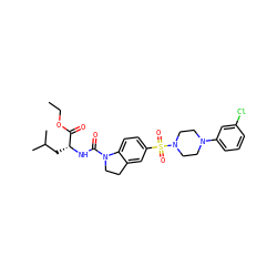 CCOC(=O)[C@@H](CC(C)C)NC(=O)N1CCc2cc(S(=O)(=O)N3CCN(c4cccc(Cl)c4)CC3)ccc21 ZINC000118533562