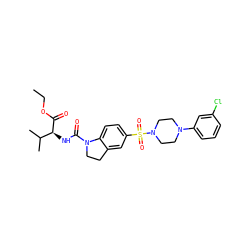 CCOC(=O)[C@@H](NC(=O)N1CCc2cc(S(=O)(=O)N3CCN(c4cccc(Cl)c4)CC3)ccc21)C(C)C ZINC000118523415