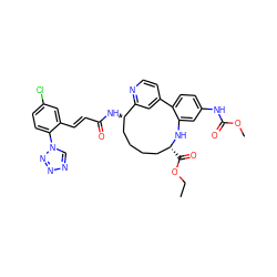 CCOC(=O)[C@@H]1CCCC[C@H](NC(=O)/C=C/c2cc(Cl)ccc2-n2cnnn2)c2cc(ccn2)-c2ccc(NC(=O)OC)cc2N1 ZINC000198834332