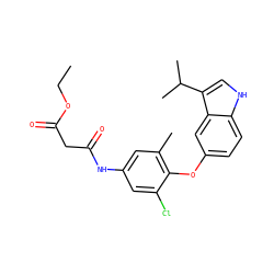 CCOC(=O)CC(=O)Nc1cc(C)c(Oc2ccc3[nH]cc(C(C)C)c3c2)c(Cl)c1 ZINC000028350968