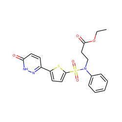 CCOC(=O)CCN(c1ccccc1)S(=O)(=O)c1ccc(-c2ccc(=O)[nH]n2)s1 ZINC000015936575