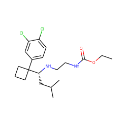 CCOC(=O)NCCN[C@H](CC(C)C)C1(c2ccc(Cl)c(Cl)c2)CCC1 ZINC000199947697