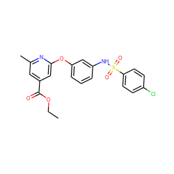 CCOC(=O)c1cc(C)nc(Oc2cccc(NS(=O)(=O)c3ccc(Cl)cc3)c2)c1 ZINC000096271589