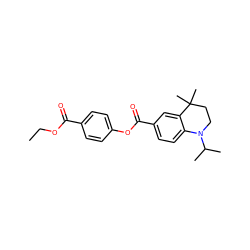 CCOC(=O)c1ccc(OC(=O)c2ccc3c(c2)C(C)(C)CCN3C(C)C)cc1 ZINC000013800364