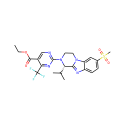 CCOC(=O)c1cnc(N2CCn3c(nc4ccc(S(C)(=O)=O)cc43)[C@@H]2C(C)C)nc1C(F)(F)F ZINC000147774153