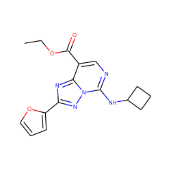 CCOC(=O)c1cnc(NC2CCC2)n2nc(-c3ccco3)nc12 ZINC000299833951