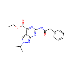 CCOC(=O)c1nc(NC(=O)Cc2ccccc2)nc2nn(C(C)C)cc12 ZINC000299859204