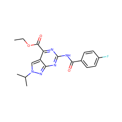 CCOC(=O)c1nc(NC(=O)c2ccc(F)cc2)nc2nn(C(C)C)cc12 ZINC000299872082