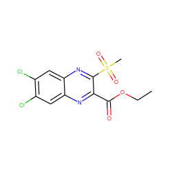 CCOC(=O)c1nc2cc(Cl)c(Cl)cc2nc1S(C)(=O)=O ZINC000028950985