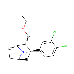 CCOC[C@@H]1[C@@H](c2ccc(Cl)c(Cl)c2)C[C@H]2CC[C@H]1N2C ZINC000100071126