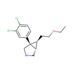 CCOCC[C@H]1[C@@H]2CNC[C@]12c1ccc(Cl)c(Cl)c1 ZINC000043197505