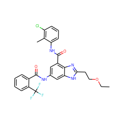 CCOCCc1nc2c(C(=O)Nc3cccc(Cl)c3C)cc(NC(=O)c3ccccc3C(F)(F)F)cc2[nH]1 ZINC000218718281