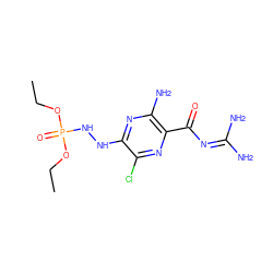 CCOP(=O)(NNc1nc(N)c(C(=O)N=C(N)N)nc1Cl)OCC ZINC000073129745