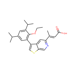 CCOc1c(-c2csc3cnc(/C(C)=C/C(=O)O)cc23)cc(C(C)C)cc1C(C)C ZINC000026661700