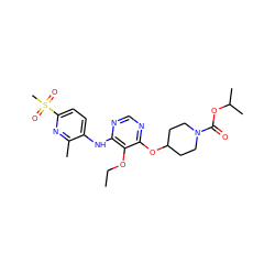 CCOc1c(Nc2ccc(S(C)(=O)=O)nc2C)ncnc1OC1CCN(C(=O)OC(C)C)CC1 ZINC000038211751