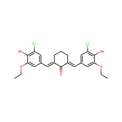 CCOc1cc(/C=C2\CCC/C(=C\c3cc(Cl)c(O)c(OCC)c3)C2=O)cc(Cl)c1O ZINC000008456809