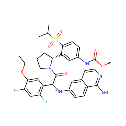 CCOc1cc([C@@H](Nc2ccc3c(N)nccc3c2)C(=O)N2CCC[C@@H]2c2cc(NC(=O)OC)ccc2S(=O)(=O)C(C)C)c(F)cc1F ZINC000150601790