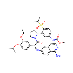 CCOc1cc([C@@H](Nc2ccc3c(N)nccc3c2)C(=O)N2CCC[C@@H]2c2cc(NC(=O)OC)ccc2S(=O)(=O)C(C)C)ccc1OC(C)C ZINC000150601833