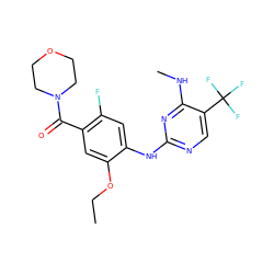 CCOc1cc(C(=O)N2CCOCC2)c(F)cc1Nc1ncc(C(F)(F)F)c(NC)n1 ZINC000169705193