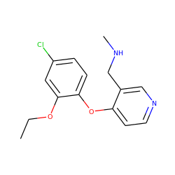 CCOc1cc(Cl)ccc1Oc1ccncc1CNC ZINC000029048211